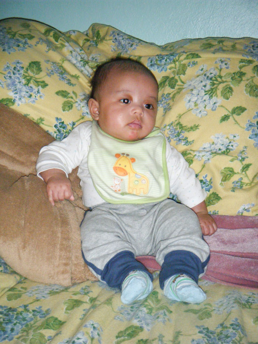 March 07, 2010
