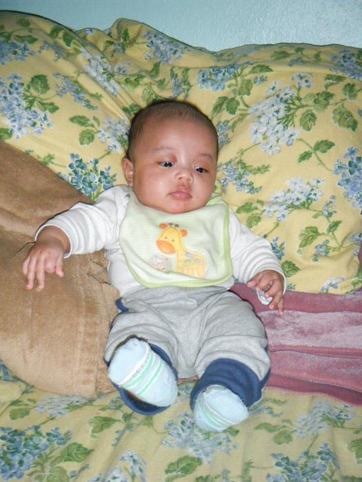 March 07, 2010