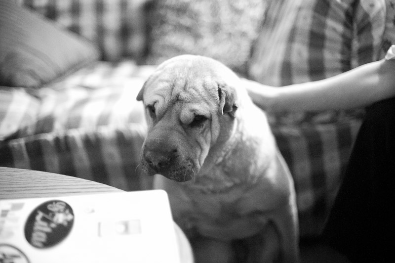 1/400 sec at f / 1.4