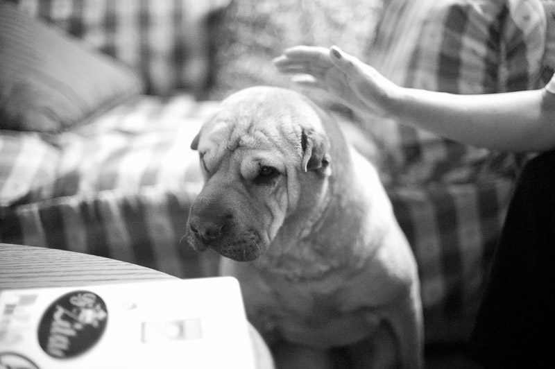 1/400 sec at f / 1.4