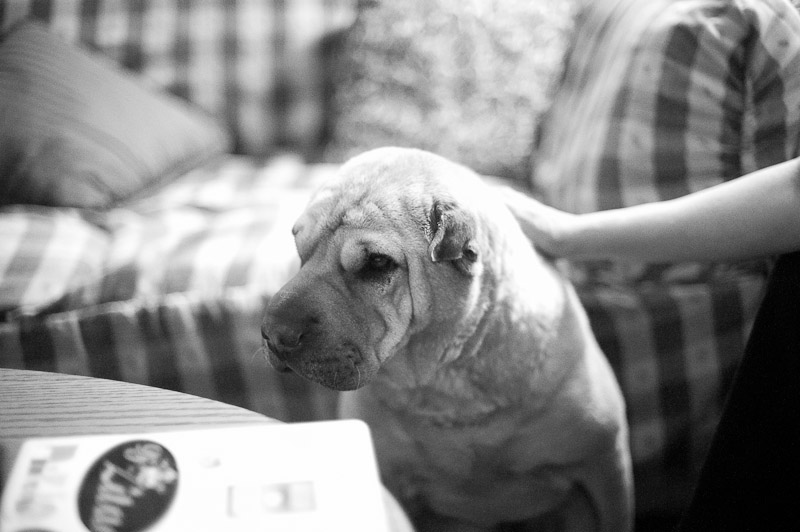 1/400 sec at f / 1.4