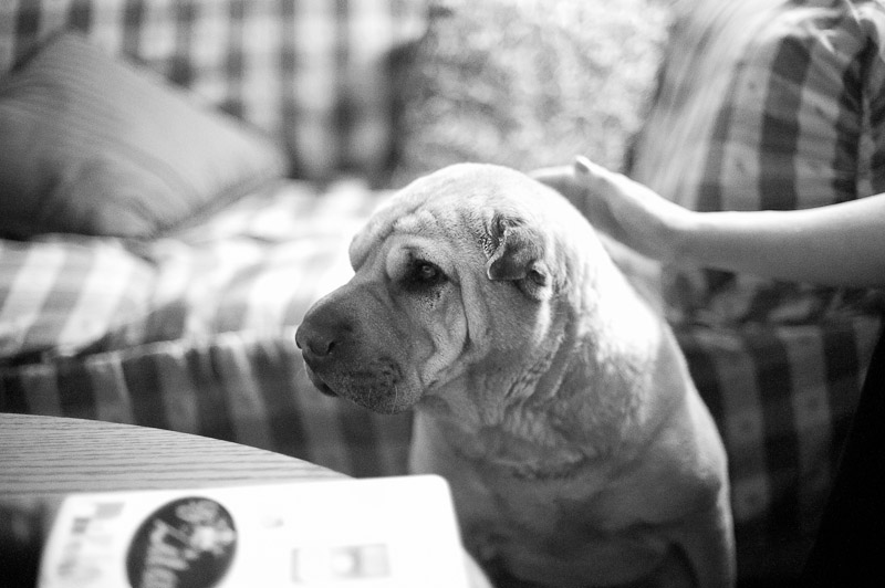 1/400 sec at f / 1.4