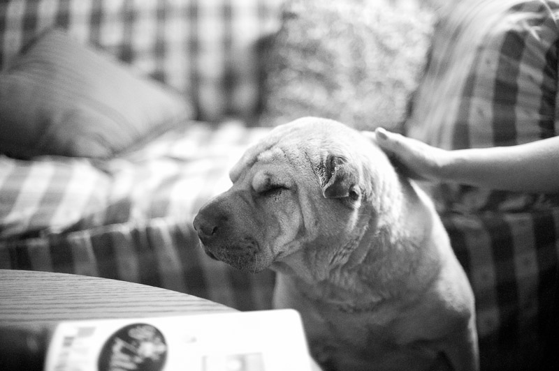 1/400 sec at f / 1.4