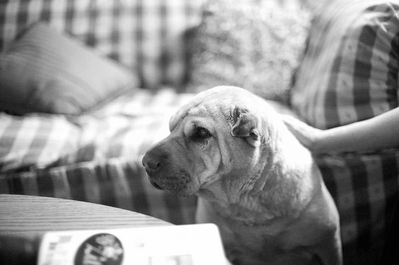 1/400 sec at f / 1.4