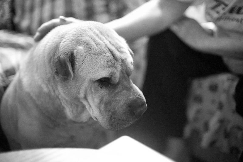 1/400 sec at f / 1.4