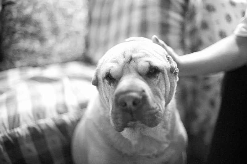 1/400 sec at f / 1.4