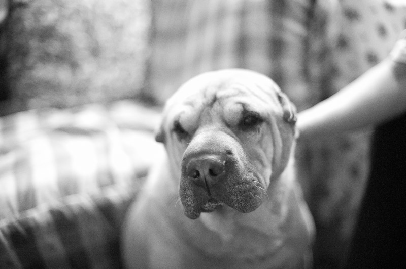 1/400 sec at f / 1.4