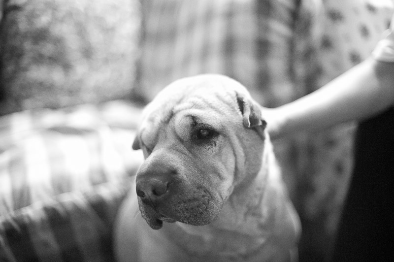 1/400 sec at f / 1.4