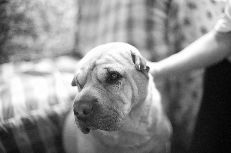 1/400 sec at f / 1.4