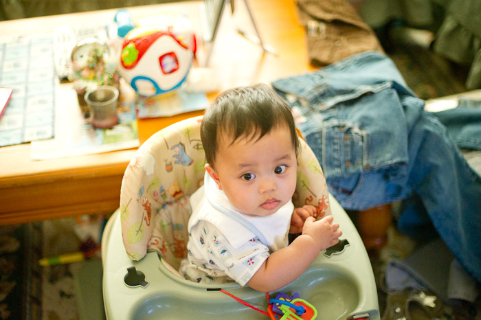 NIKON D3S - 50.0 mm f/1.4