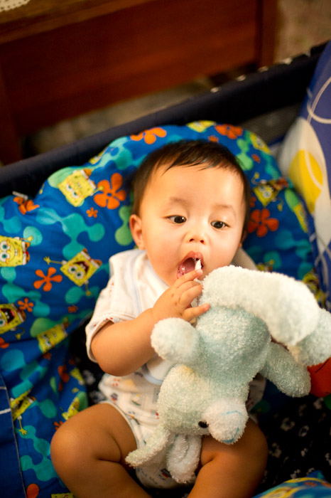NIKON D3S - 50.0 mm f/1.4
