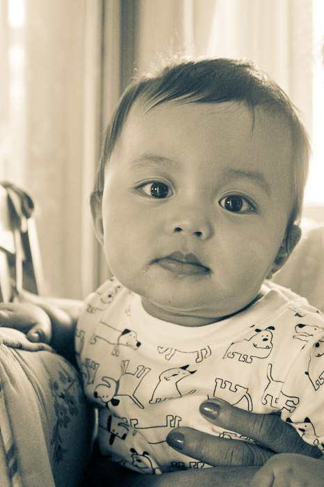 NIKON D3S - 60.0 mm f/2.8