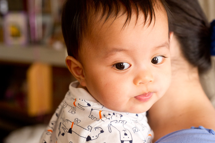 NIKON D3S - 60.0 mm f/2.8
