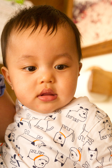 NIKON D3S - 60.0 mm f/2.8