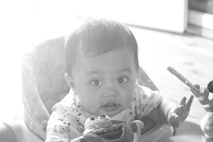 NIKON D3S - 85.0 mm f/1.4