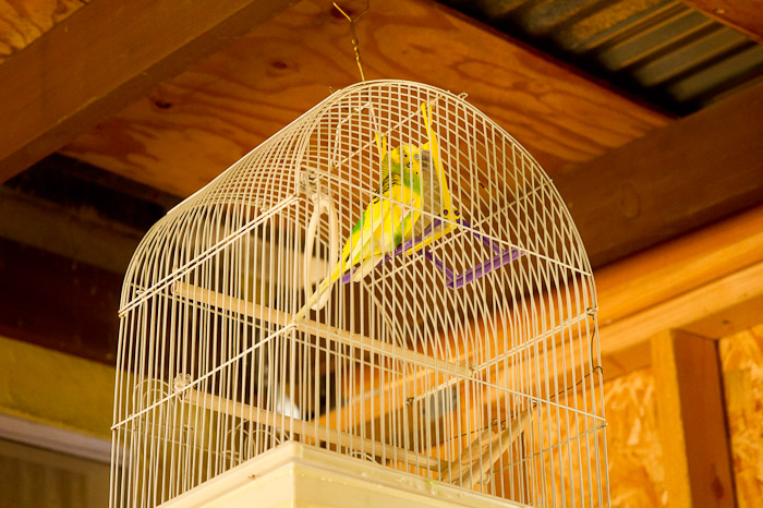 NIKON D3S - 85.0 mm f/1.4