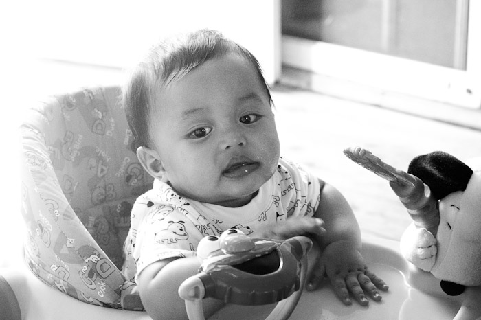 NIKON D3S - 85.0 mm f/1.4
