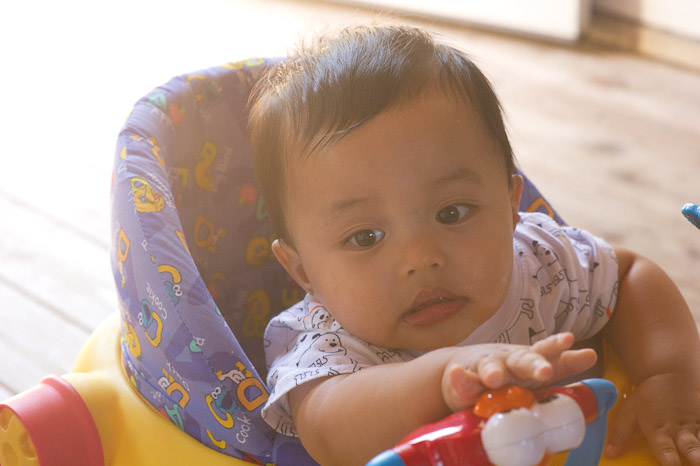 NIKON D3S - 85.0 mm f/1.4