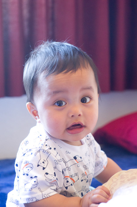 NIKON D3S - 85.0 mm f/1.4