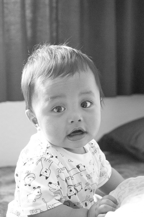 NIKON D3S - 85.0 mm f/1.4