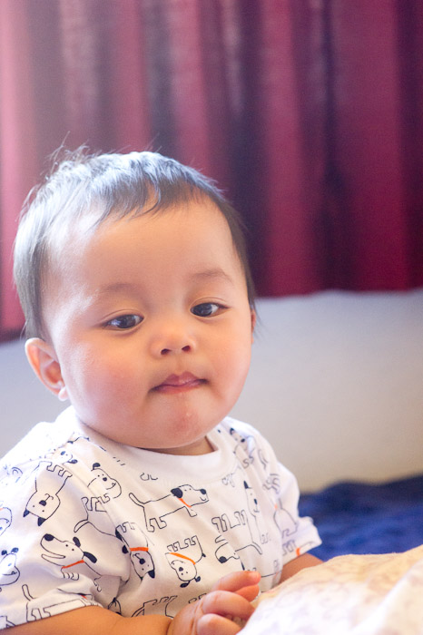 NIKON D3S - 85.0 mm f/1.4