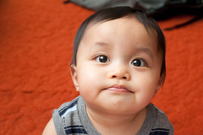 NIKON D700 - 50.0 mm f/1.4