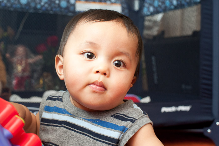 NIKON D700 - 50.0 mm f/1.4