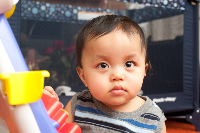 NIKON D700 - 50.0 mm f/1.4