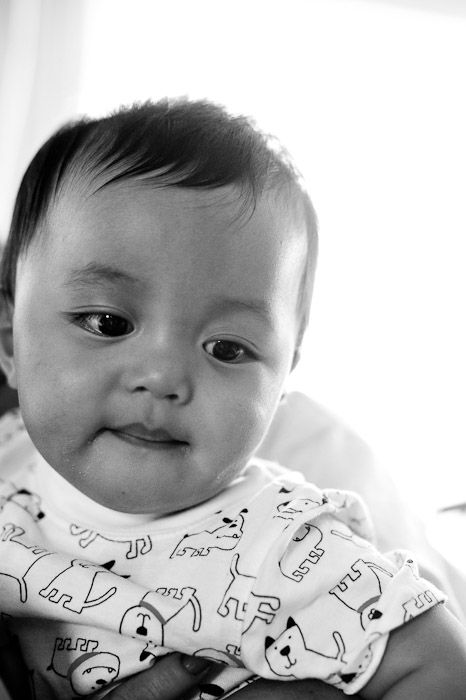 NIKON D700 - 50.0 mm f/1.4