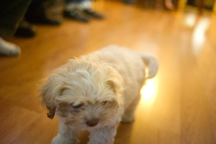 1/800 sec at f / 2.0