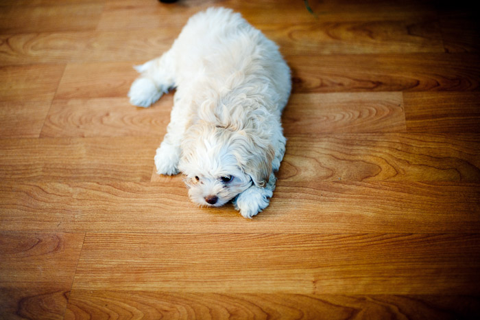 1/100 sec at f / 1.4