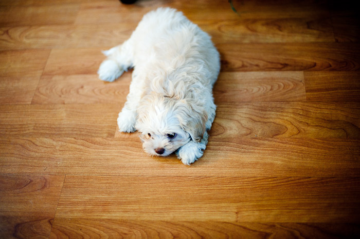 1/100 sec at f / 1.4