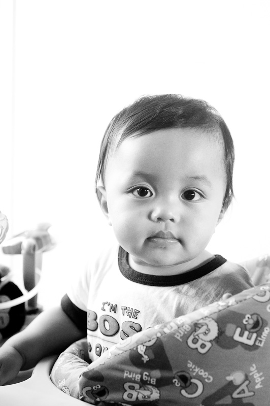 September 19, 2010