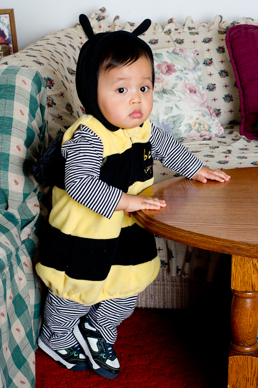 October 30, 2010