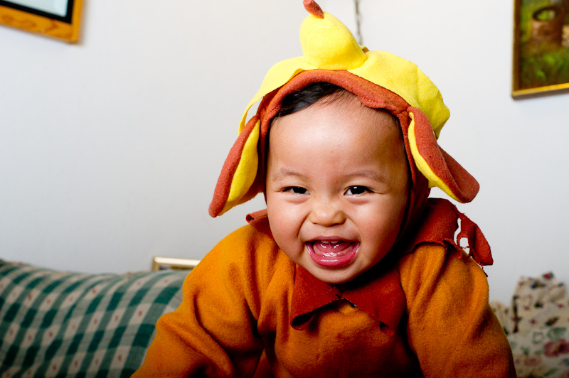 October 30, 2010