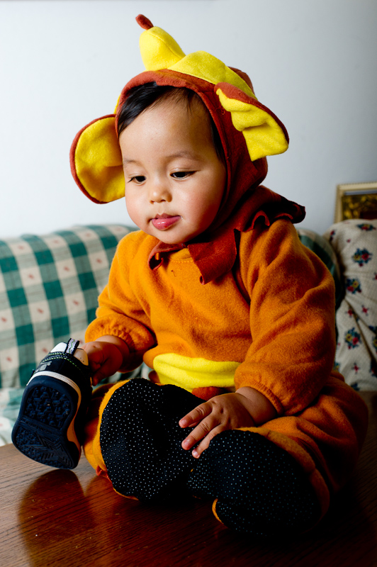 October 30, 2010