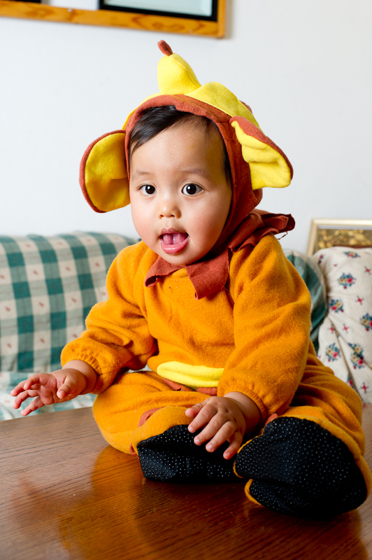 October 30, 2010