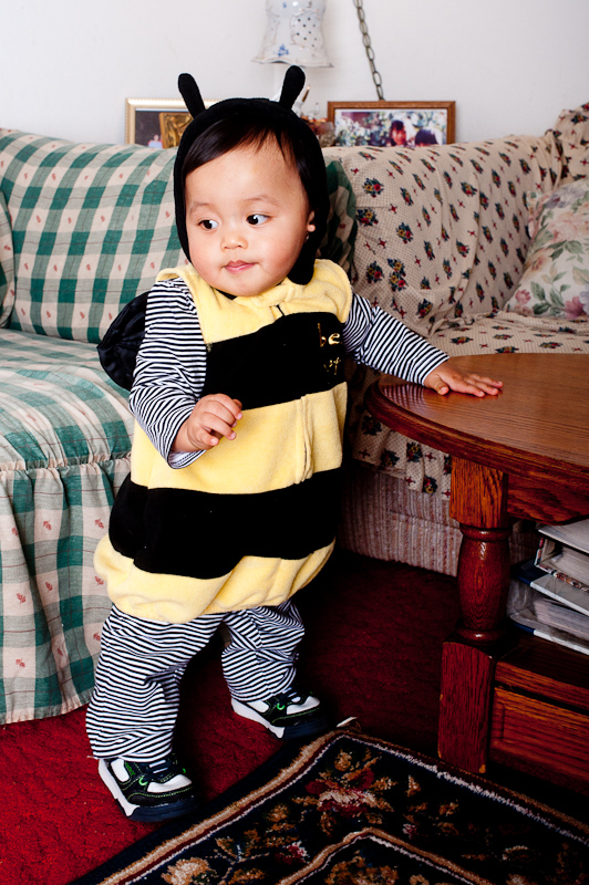 October 30, 2010