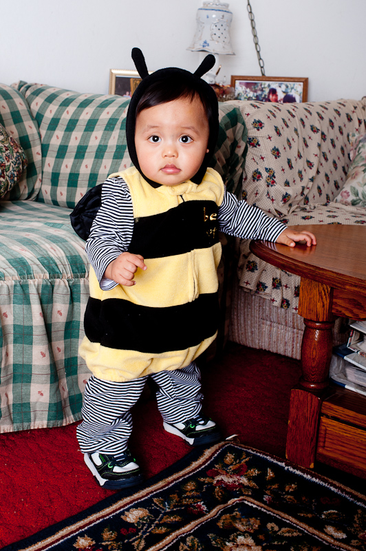 October 30, 2010