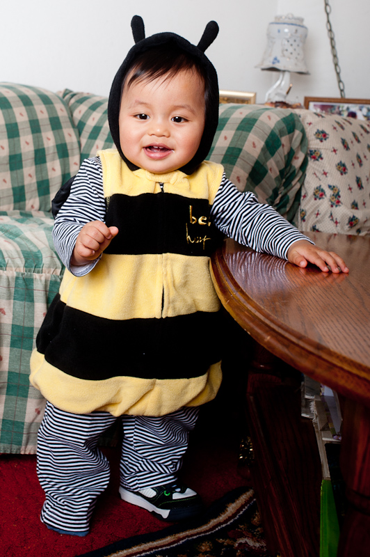 October 30, 2010