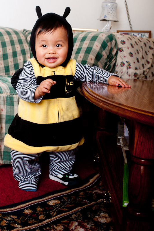 October 30, 2010