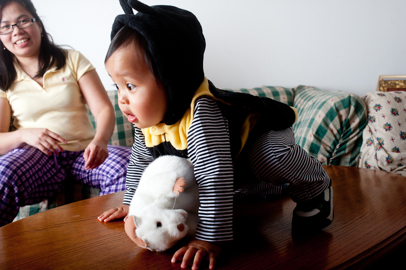 October 30, 2010