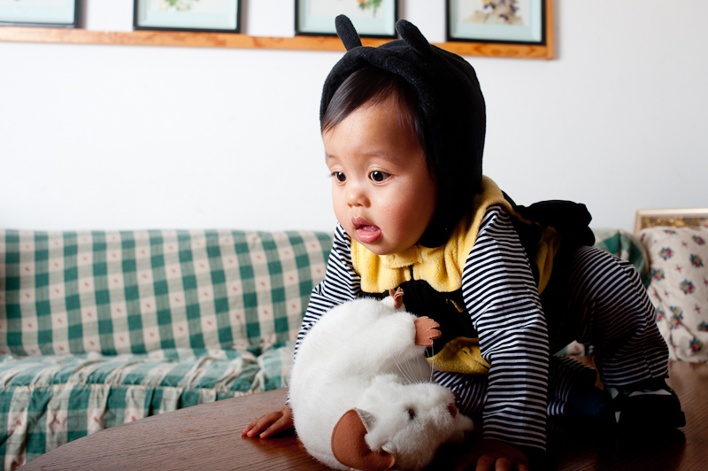 October 30, 2010